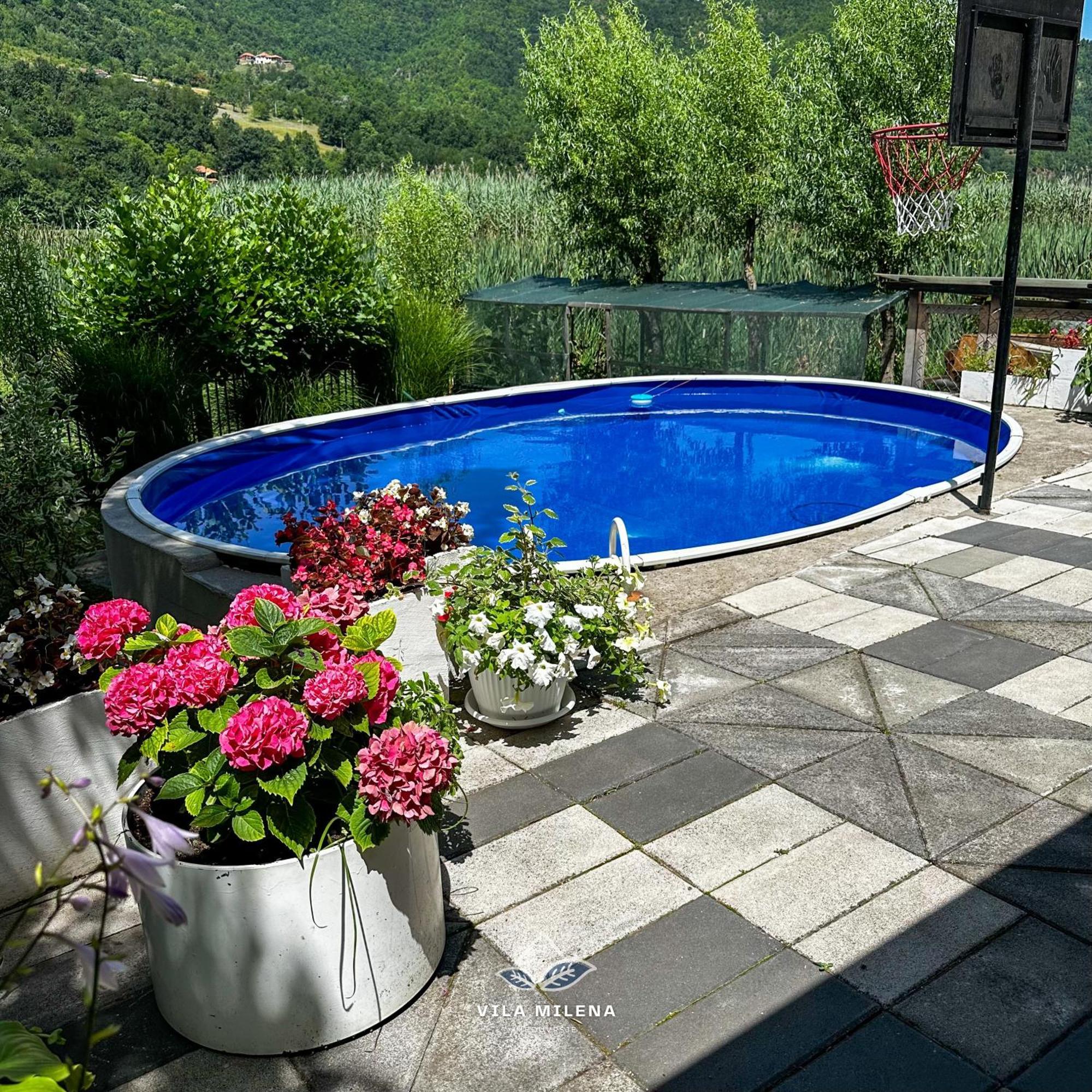 Milena Holiday home