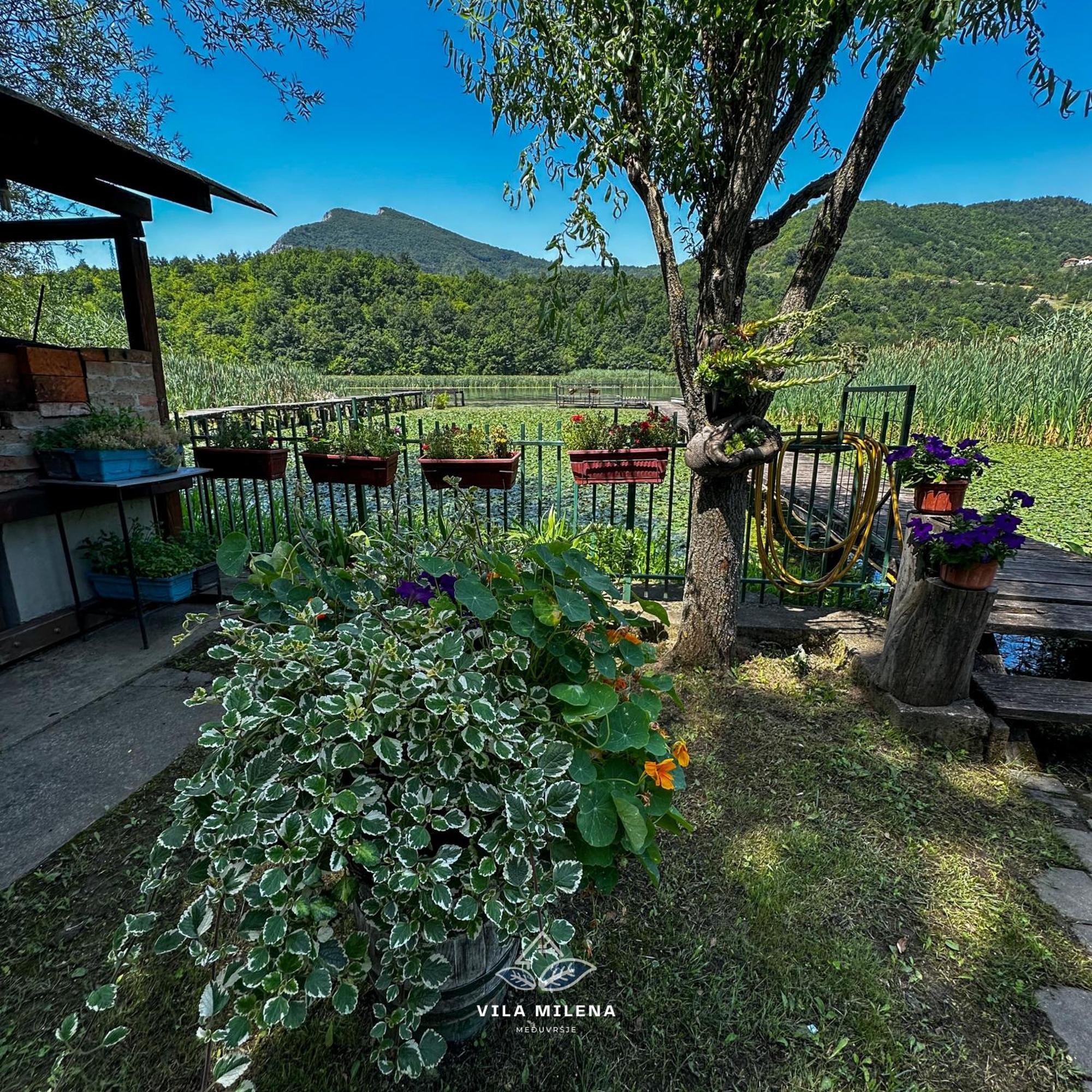 Holiday home Milena