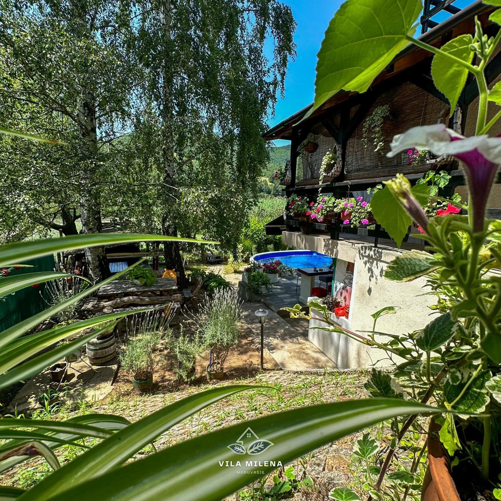 Milena Holiday home *