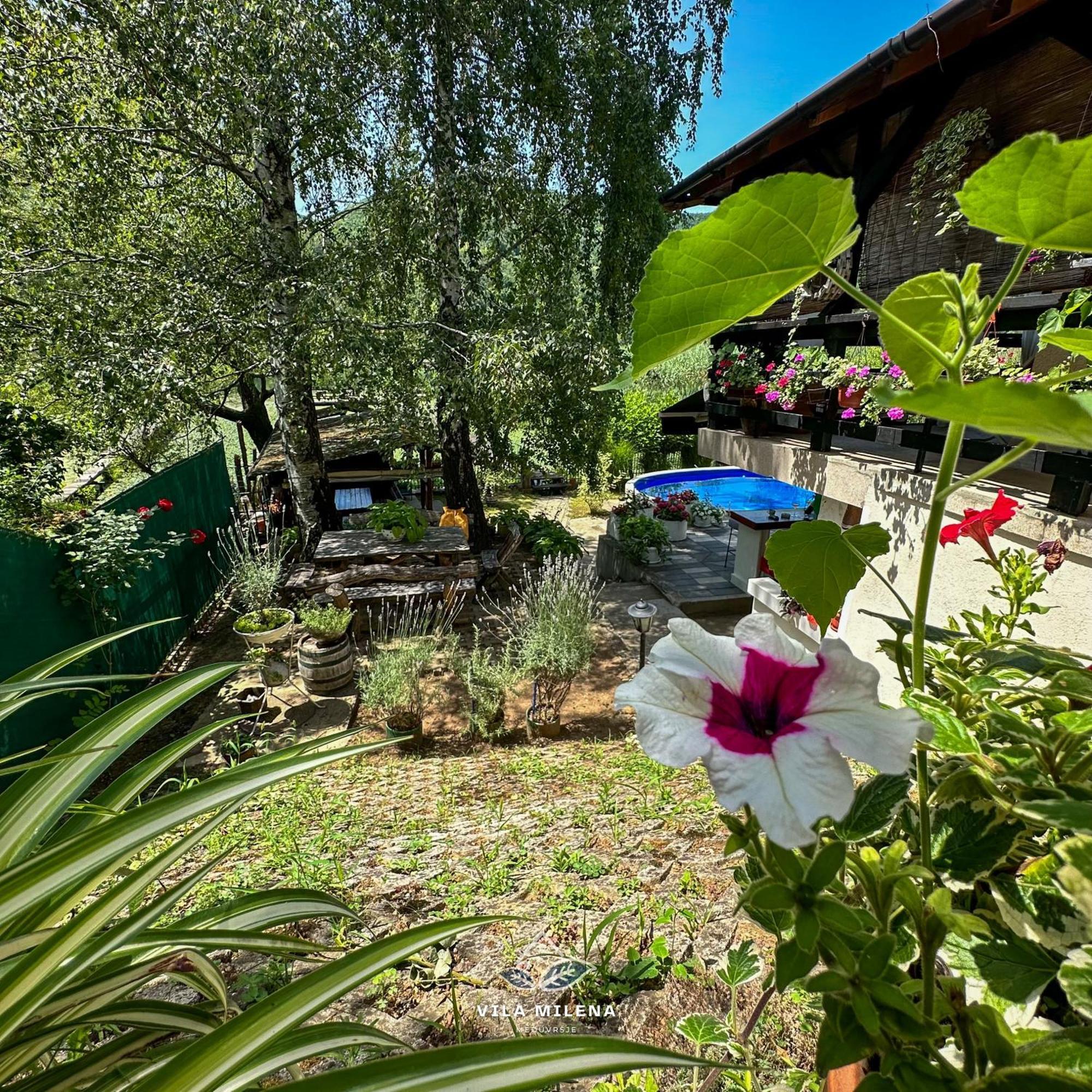 Holiday home Milena